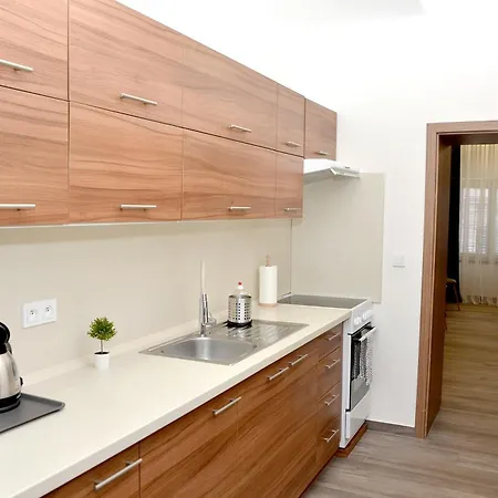 Euro Apartments Krenova 75 Brno Exterior photo