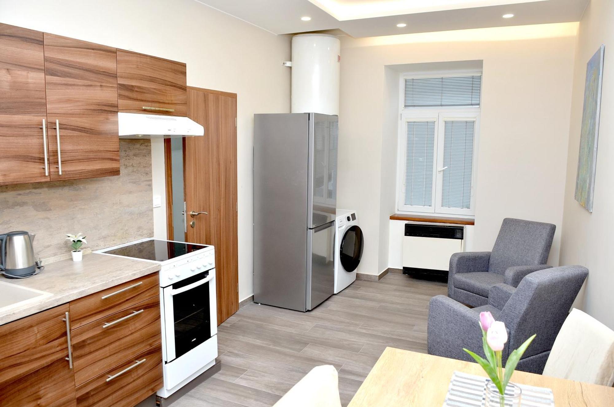 Euro Krenova 75 Apartment Brno