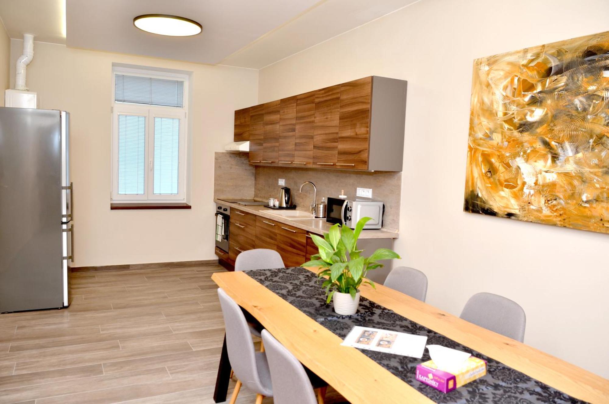Euro Krenova 75 Apartment Brno